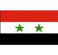 Syria Sewn Flag
