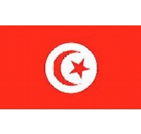 Tunisia Sewn Flag