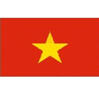 Vietnam Sewn Flag