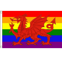 Rainbow Welsh Dragon Flag