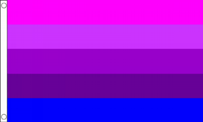 Transgender (Old) Flag